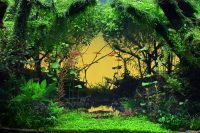 AIAC 2025 - 003-1-Igor-Rusia