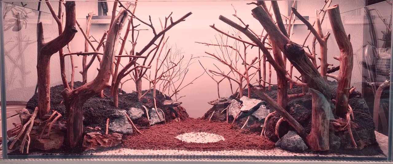 Additional Photo Memory Diary