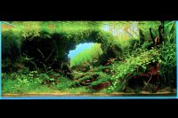 AIAC 2025 - 004-1-Raye-Singapura