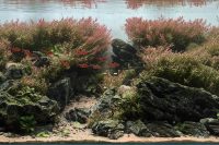 AIAC 2025 - 015-1-Vincent-Malaysia