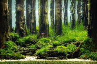 AIAC 2025 - 026-1-Muhtadi-Indonesia